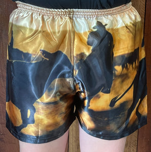 Boxer Shorts - Sunset Drafting